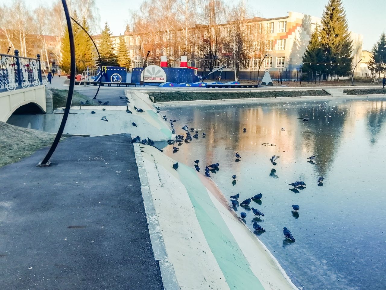13 ноября. Зеленодольск. Городское озеро