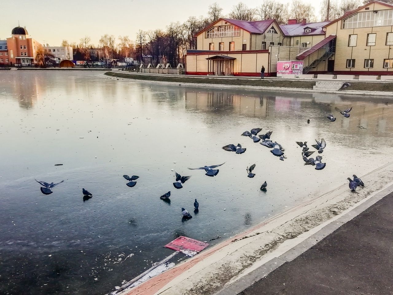 Городское озеро Зеленодольск