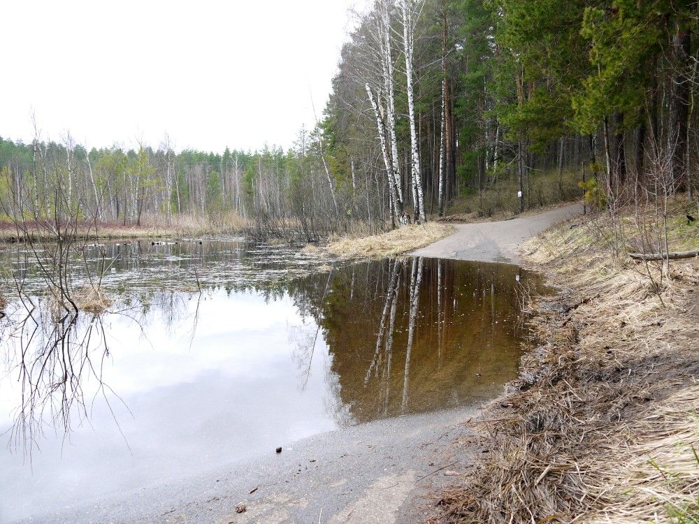 Лыжероллерная трасса в Зеленодольске по-прежнему в воде