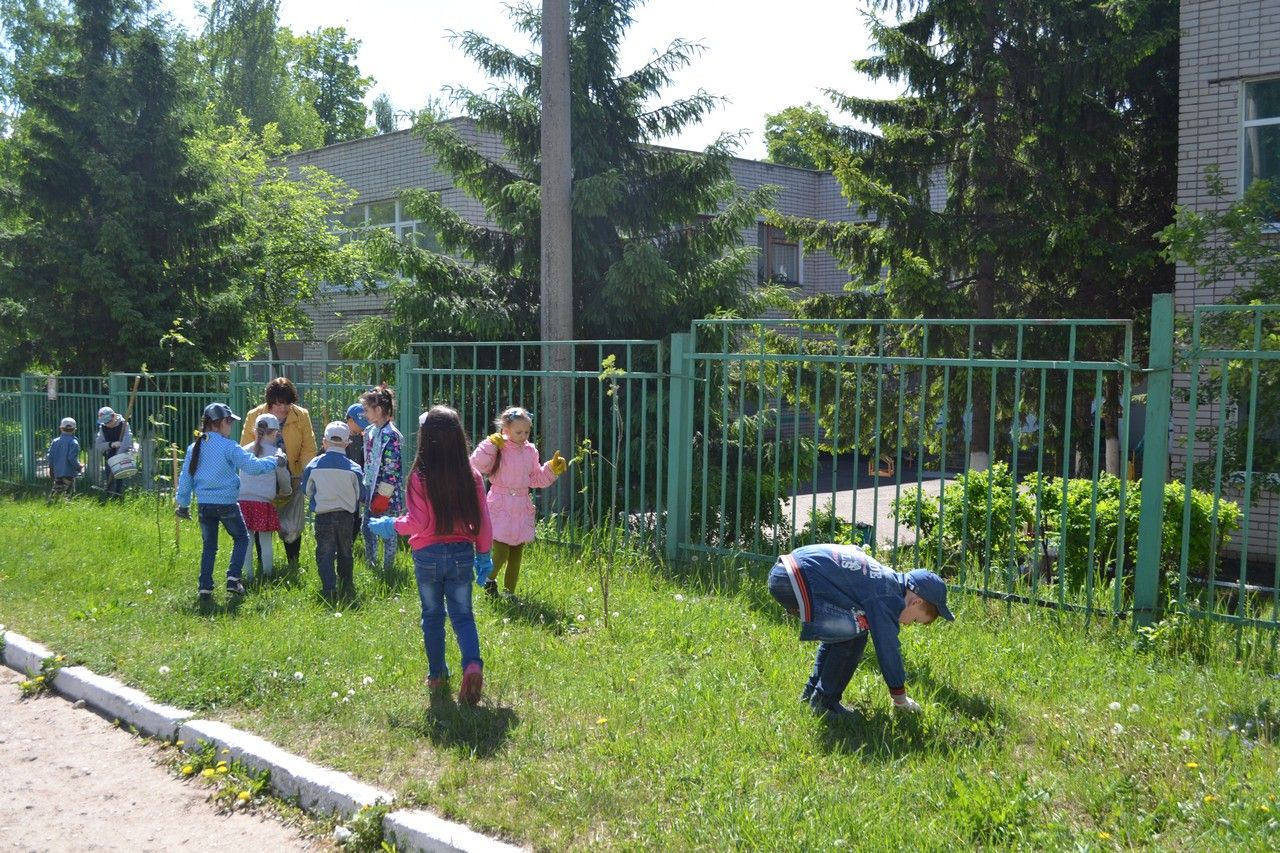 Ребята из 10 группы детского сада «Ласточка» присоединились к акции «Подари лесу чистоту, а мусор — контейнеру»
