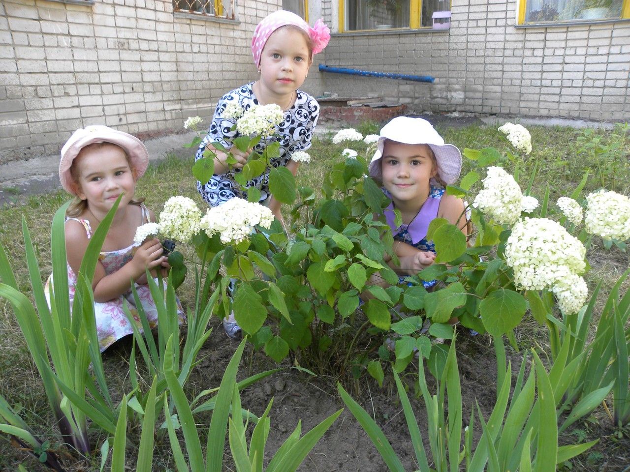 Аллея детского сада №33 удивила зеленодольцев