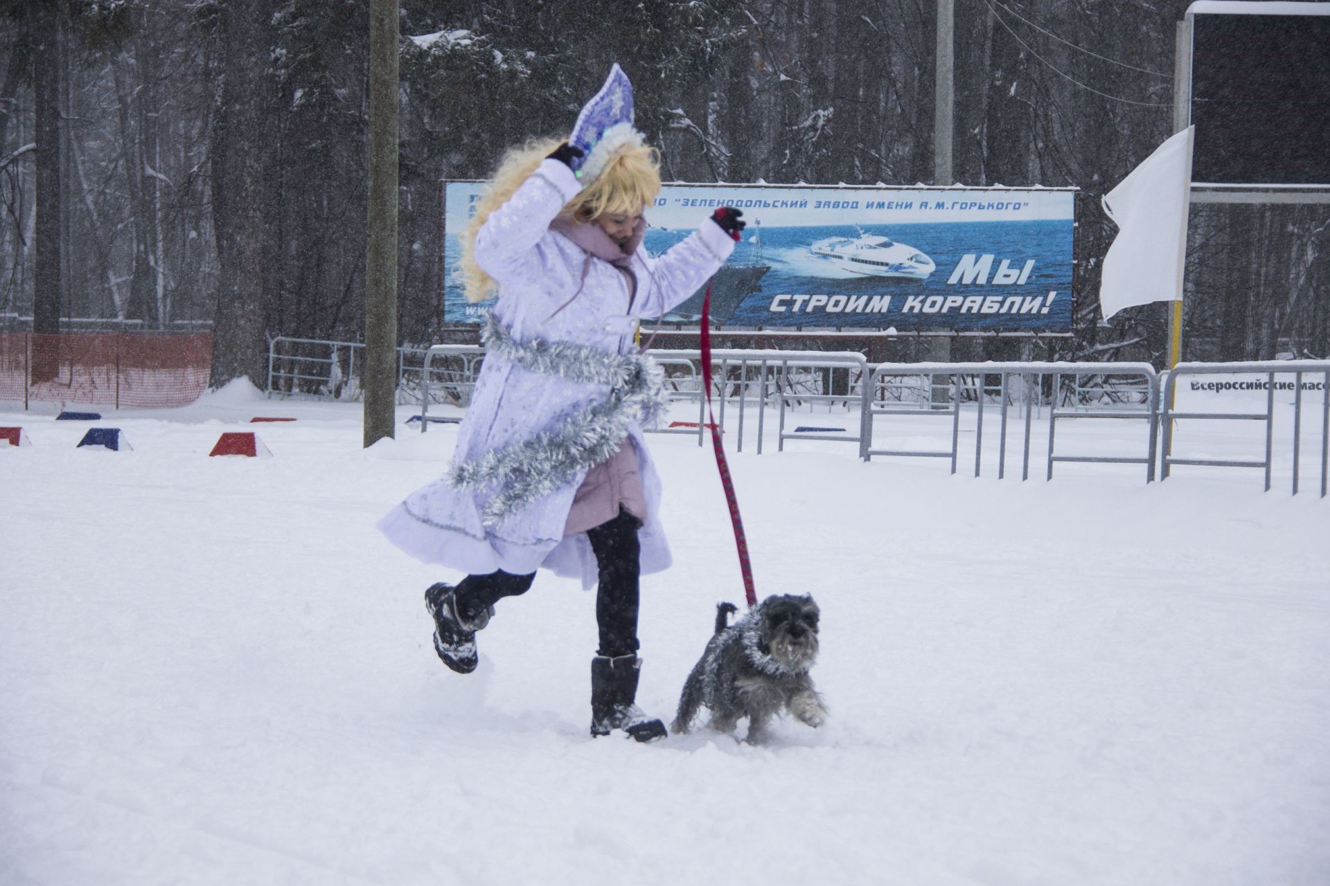 "Попутный ветер" пролетел над Зеленодольском (видео и фоторепортаж с собачьих гонок)