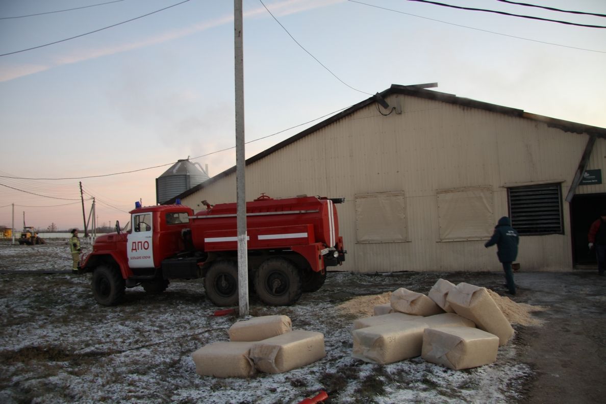 Зеленодольские пожарные добровольцы спасли 2 тысячи индюшек