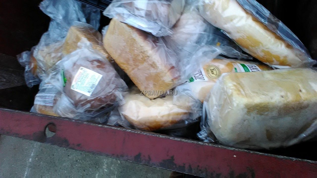 Кто и зачем в Зеленодольске выбрасывает хлеб в мусорные баки