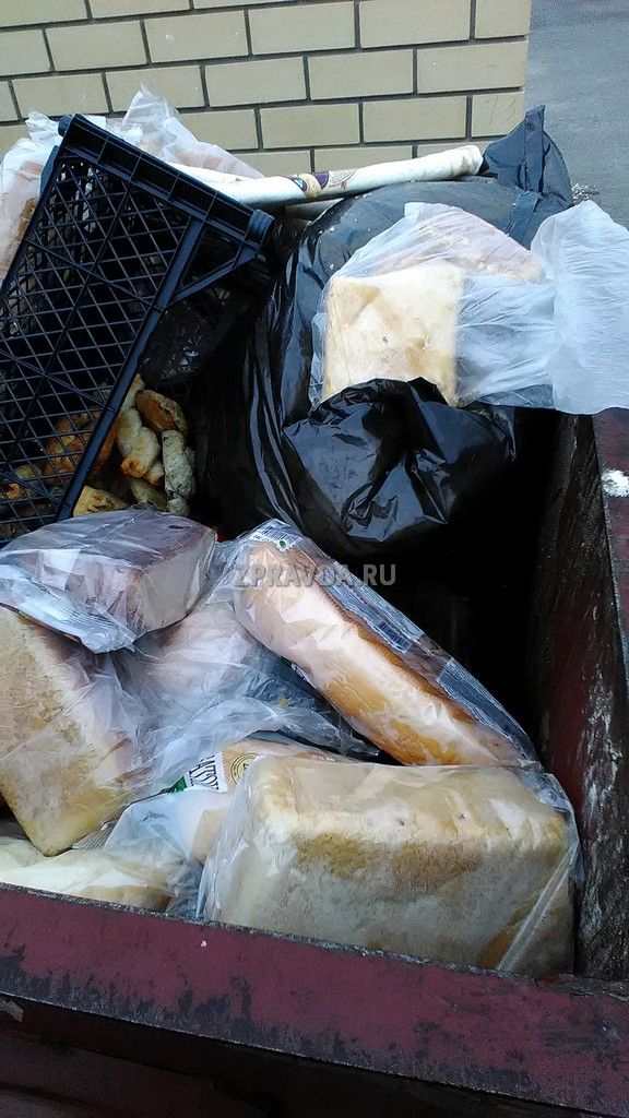 Кто и зачем в Зеленодольске выбрасывает хлеб в мусорные баки