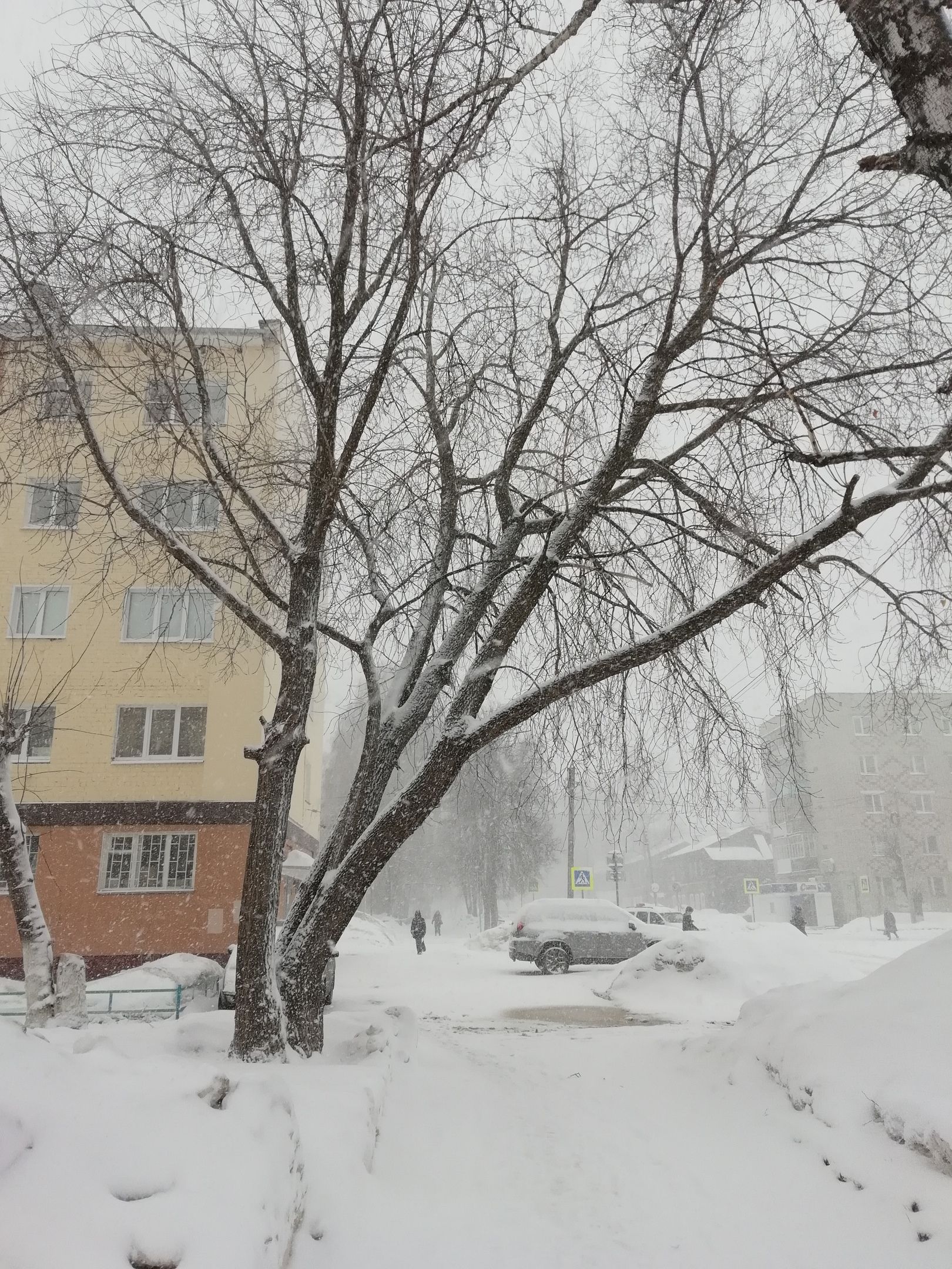 «Белый снег окутал город»: зима вернулась в Зеленодольск