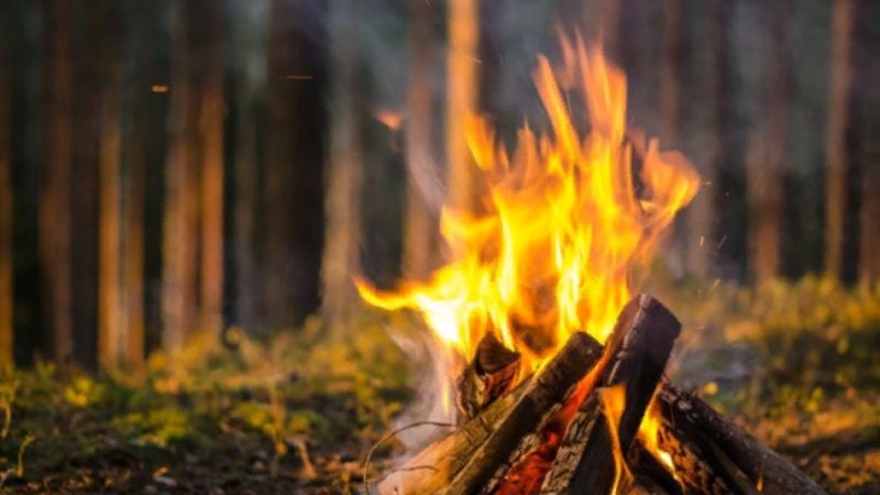 Стало известно, какие населенные пункты Зеленодольского района подвержены угрозе лесных пожаров