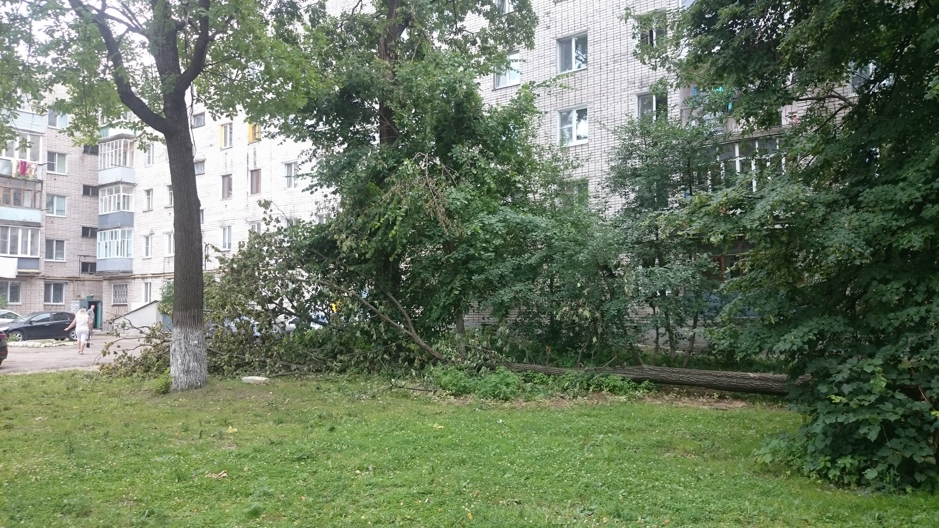 Мобильный репортер: Жители Зеленодольска опасаются за жизнь детей на игровой площадке по ул. Ленина 33а