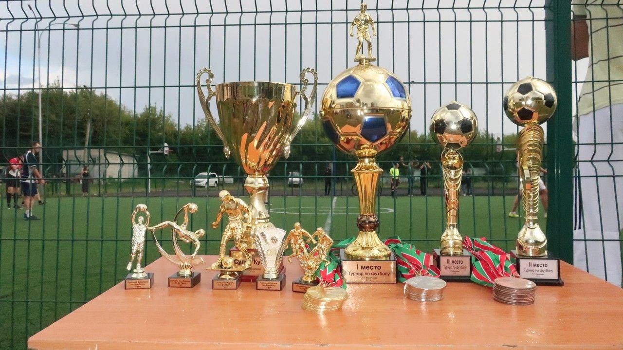 Народный турнир: Васильевцы организовали соревнования по мини-футболу, которые стали брендом посёлка
