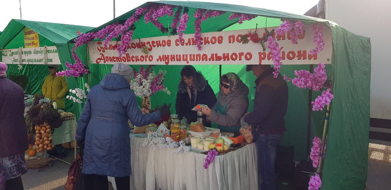 На территории ТК «Радужный» поселка Осиново проходят сельхоз ярмарки