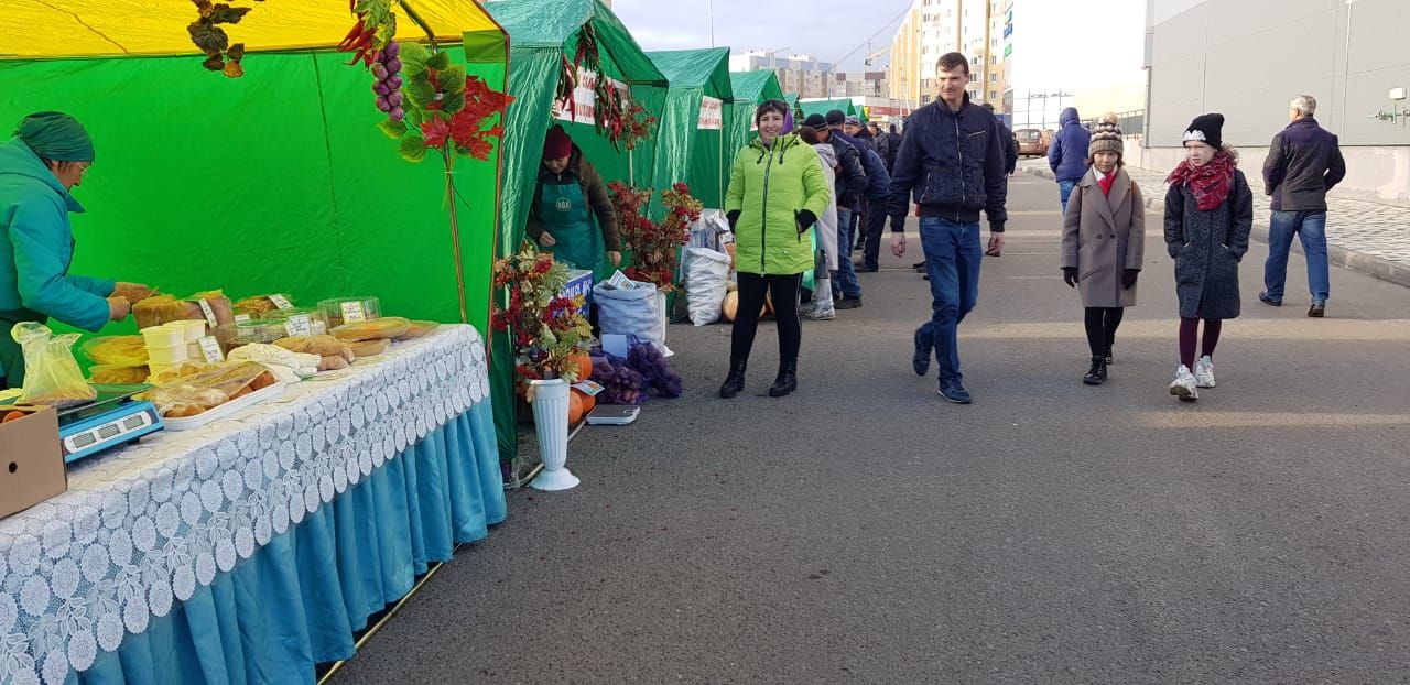 На территории ТК «Радужный» поселка Осиново проходят сельхоз ярмарки