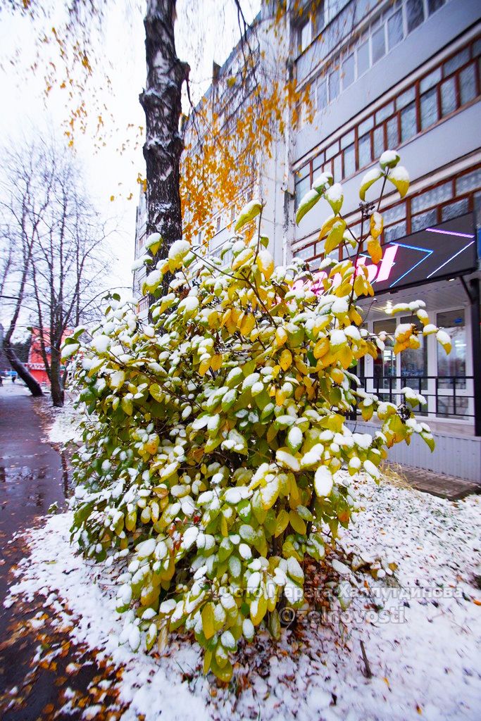 Мобильный репортер: "Белый снег окутал город"