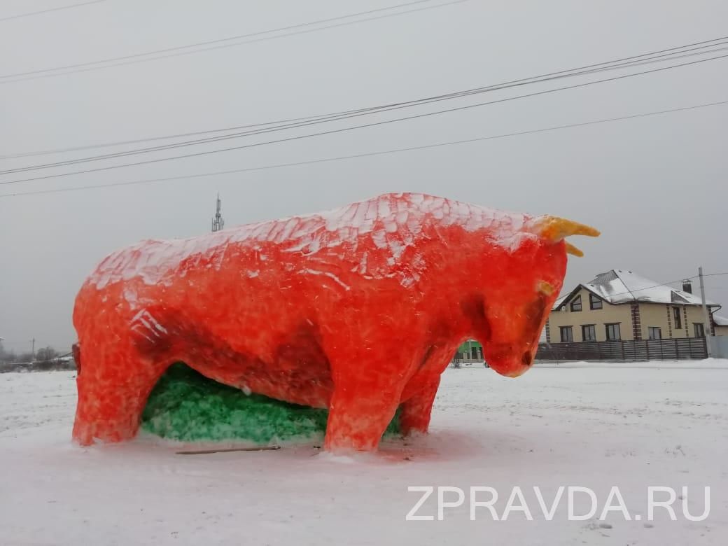 Самый большой бык в России живет в Зеленодольске в Татарстане