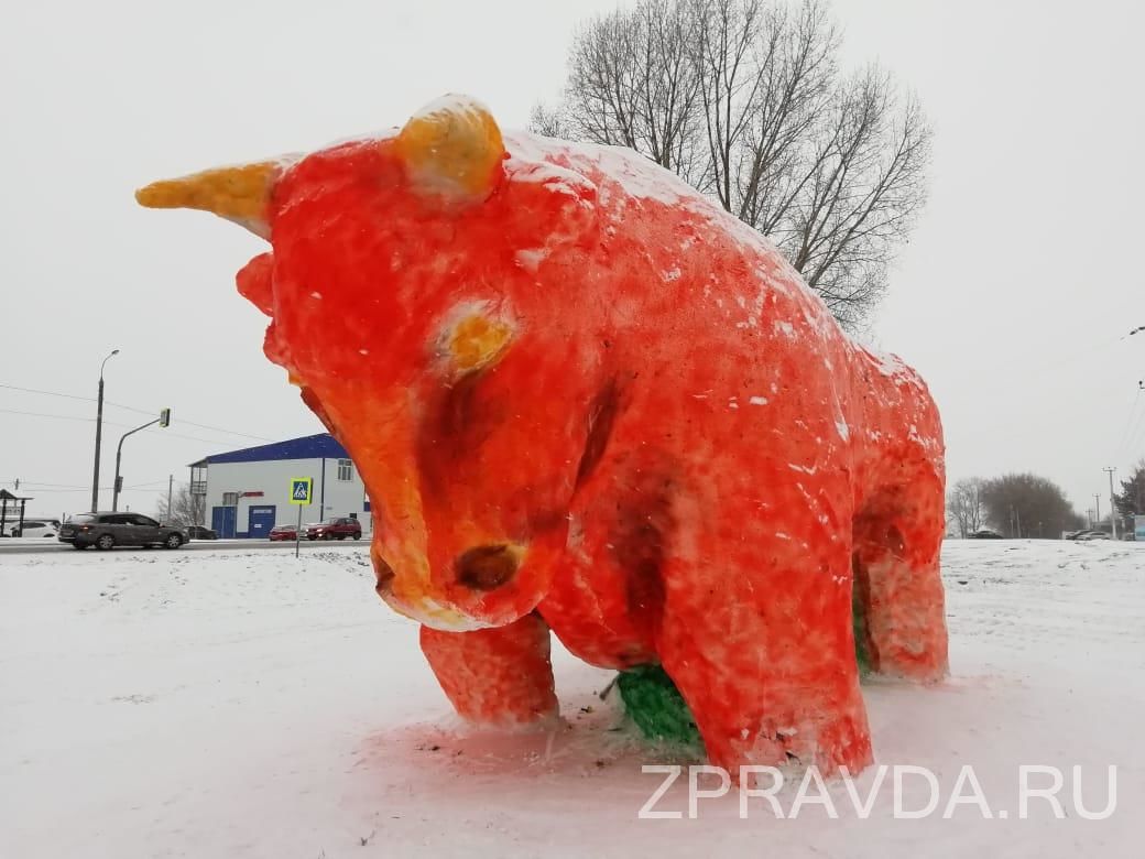 Самый большой бык в России живет в Зеленодольске в Татарстане