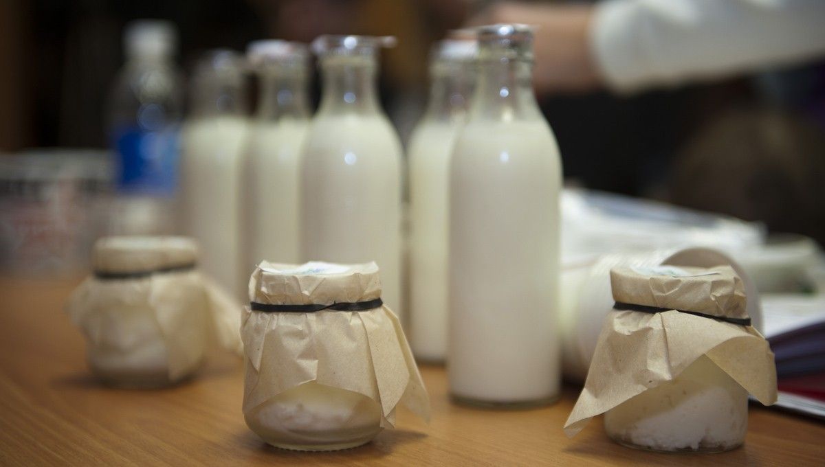 Как в Зеленодольске получить кефир, творожки и смеси для малышей в молочных кухнях