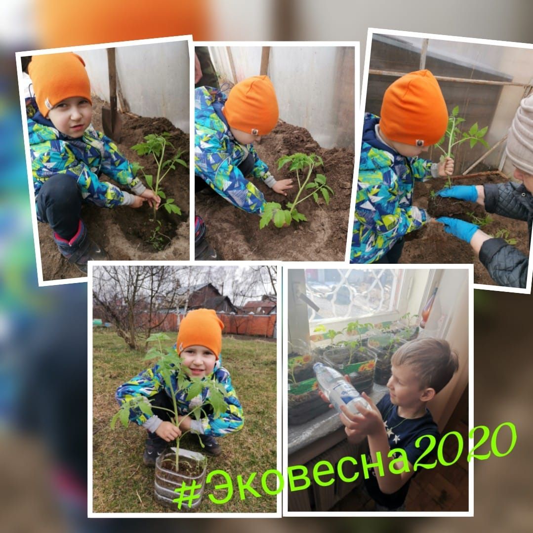 Зеленодольский детсад в режиме самоизоляции участвует в акции #Эковесна-2020