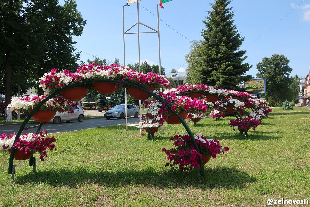 Площадь Победы утопает в цветах