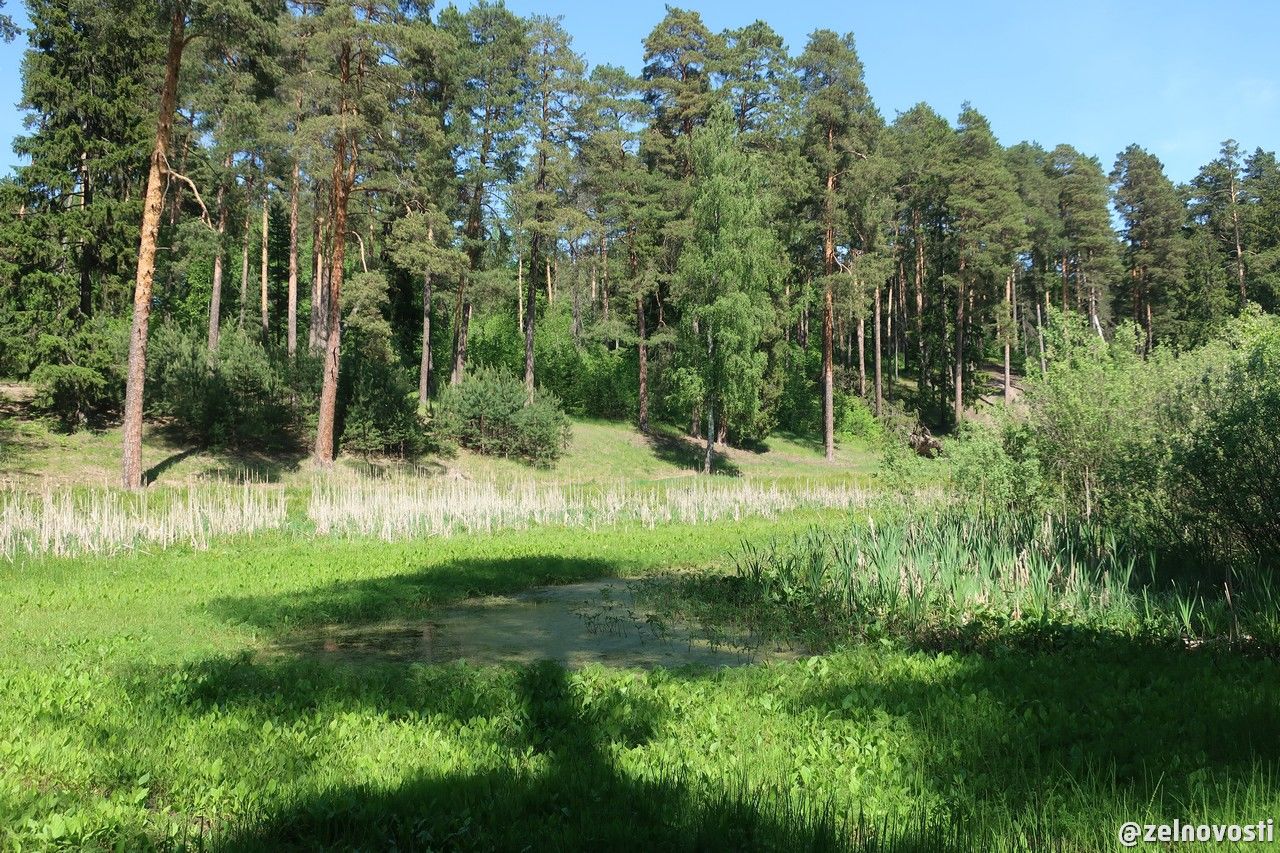 По руслу исчезнувшей реки: Где в Зеленодольске можно увидеть необычные природные ландшафты