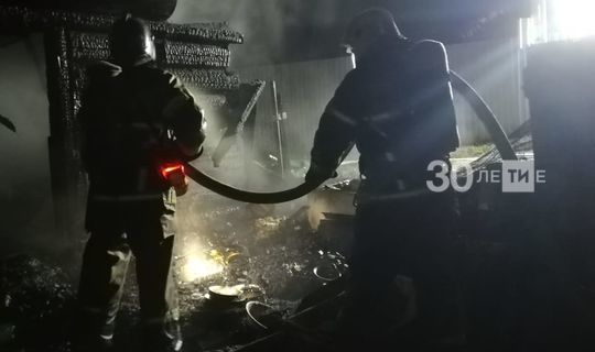 На ночном пожаре в садовом домике в Нижних Вязовых погибла женщина