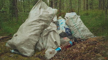 Лесных мусорщиков в РТ будут ловить фотоловушками