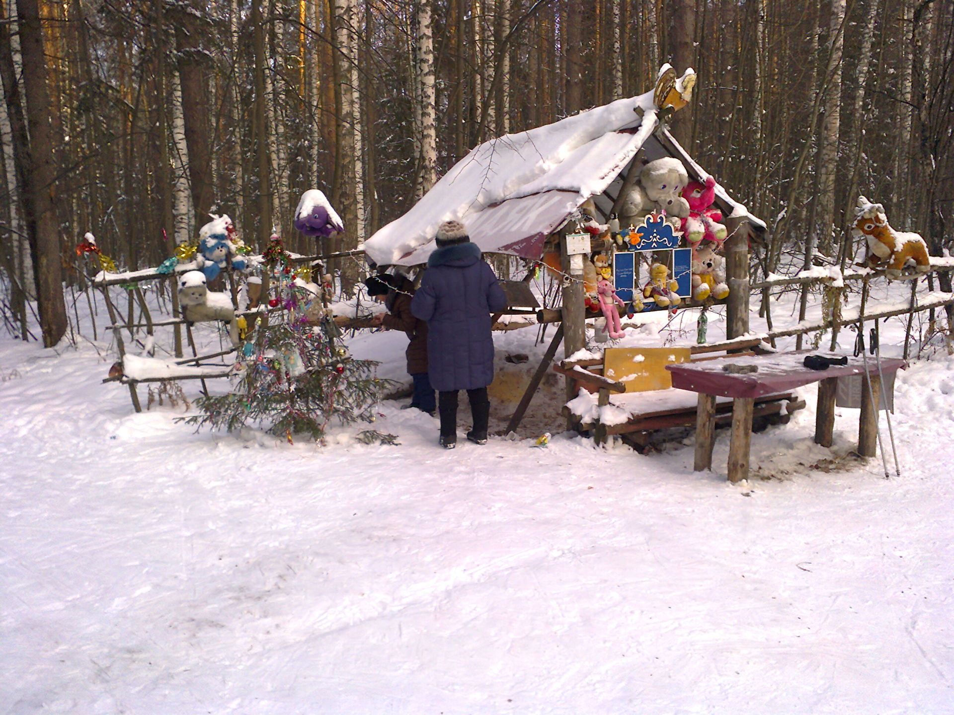 Зеленодольск: Новогодние каникулы – на лыжне