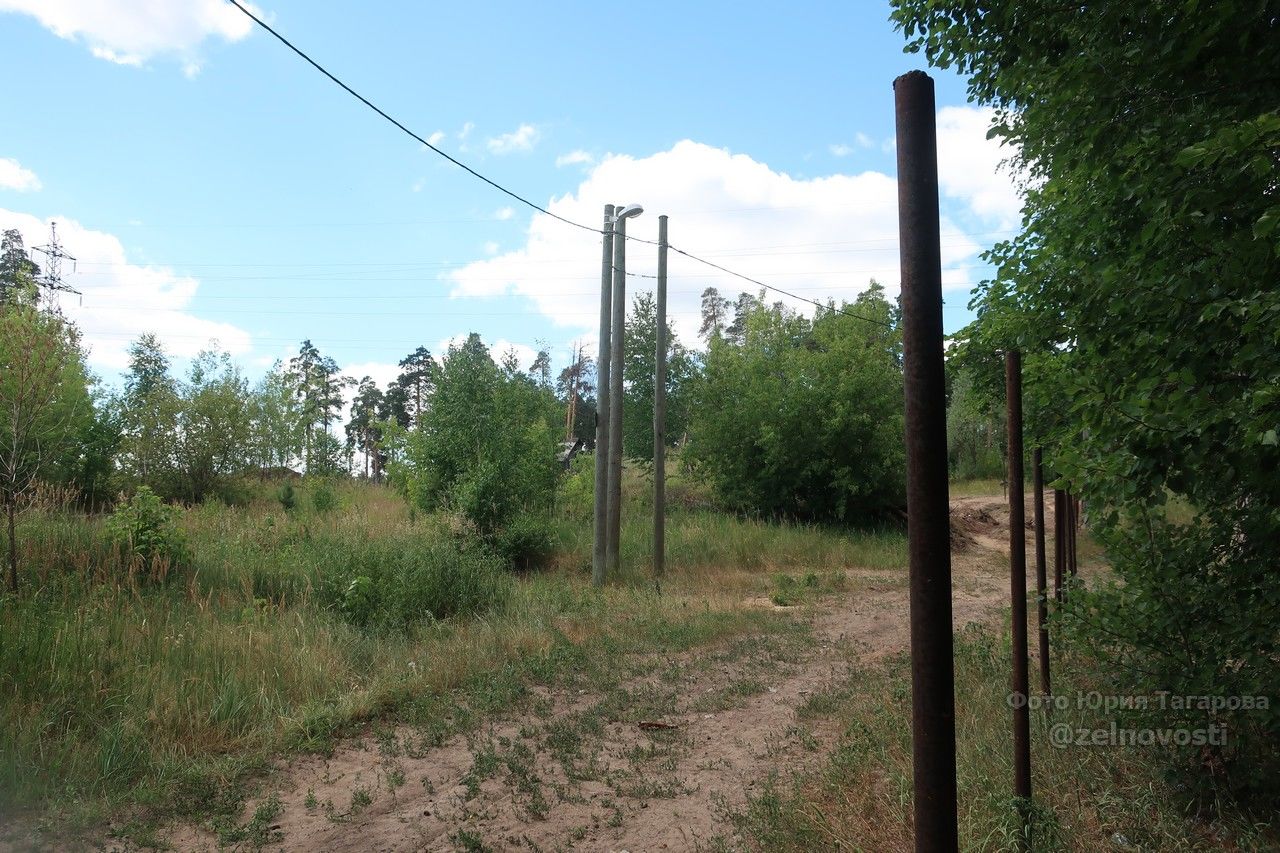 На улице Украинской на границе с лесом начали строить дом?