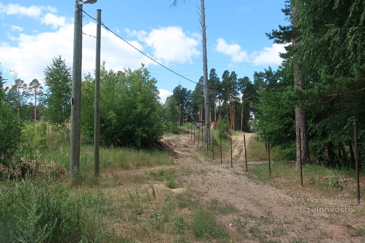 На улице Украинской на границе с лесом начали строить дом?