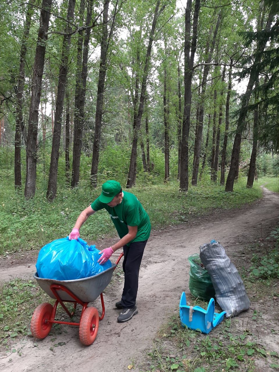 Группа "Здоровье" провела в сосновом лесу за парком Алтынова экологическую акцию