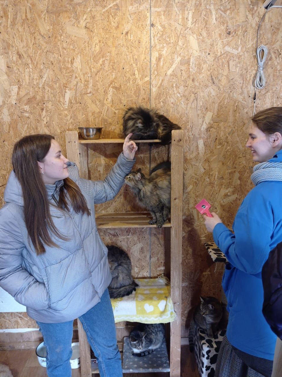 ВолонТуризм набирает обороты: Зоозащитники приюта «Кот и пес» придумали новый способ помощи животным