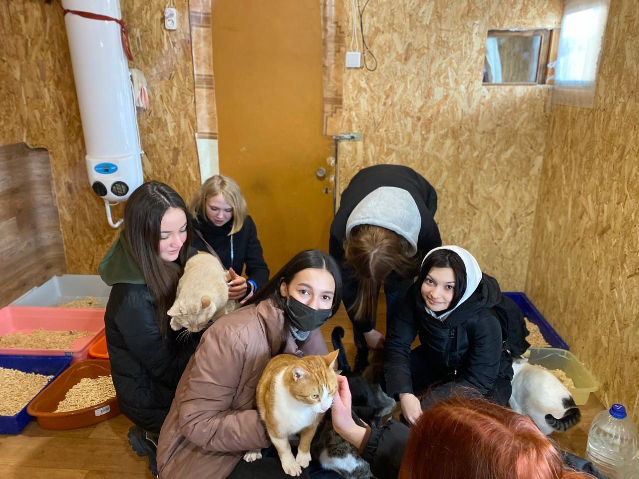 ВолонТуризм набирает обороты: Зоозащитники приюта «Кот и пес» придумали новый способ помощи животным