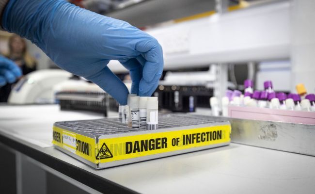 Обезьянья оспа: Насколько велик риск возникновения новой пандемии