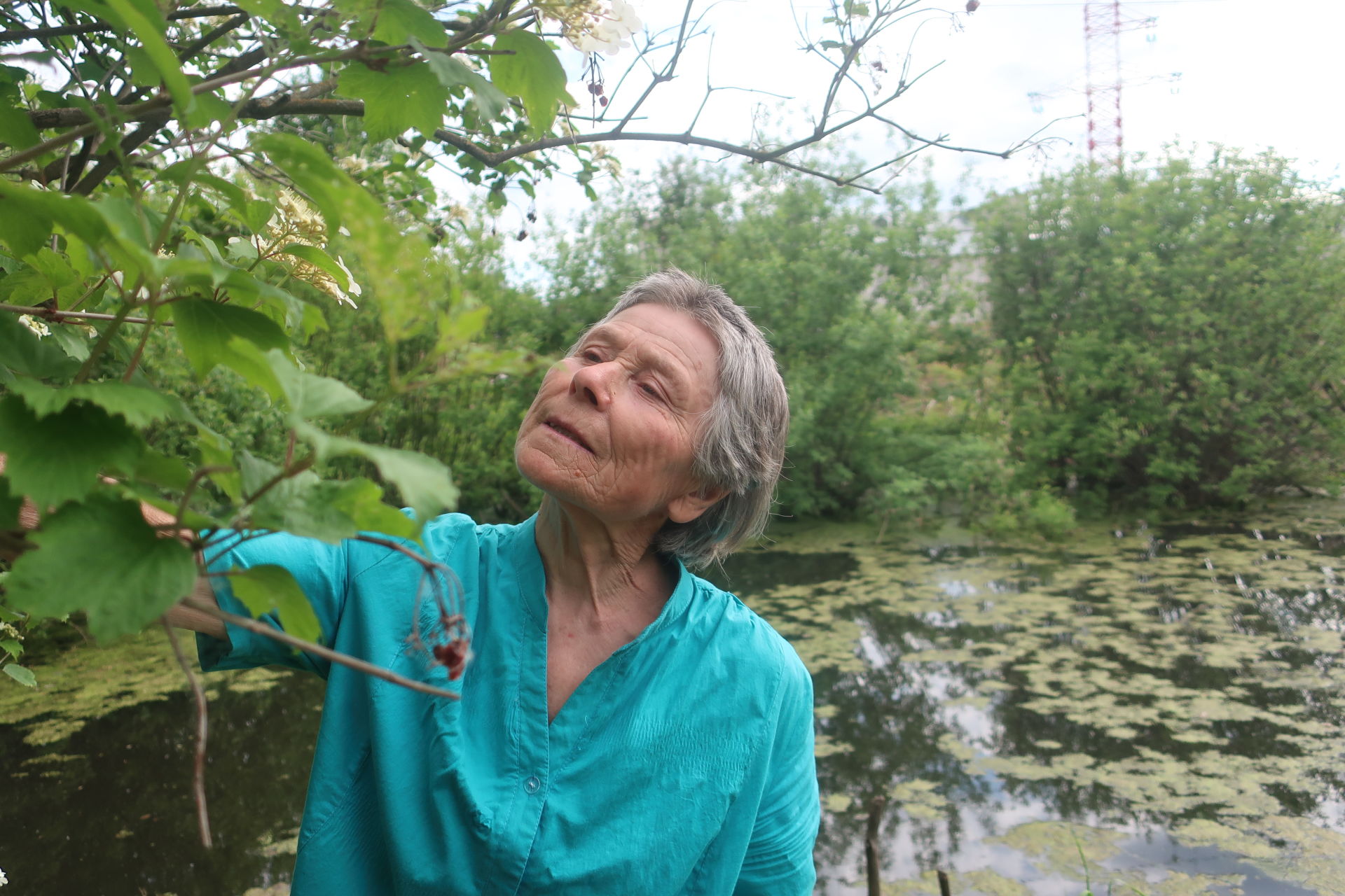 Шесть соток счастья: Разия Мингалеева не представляет жизни  без своего сада, которому 63 года