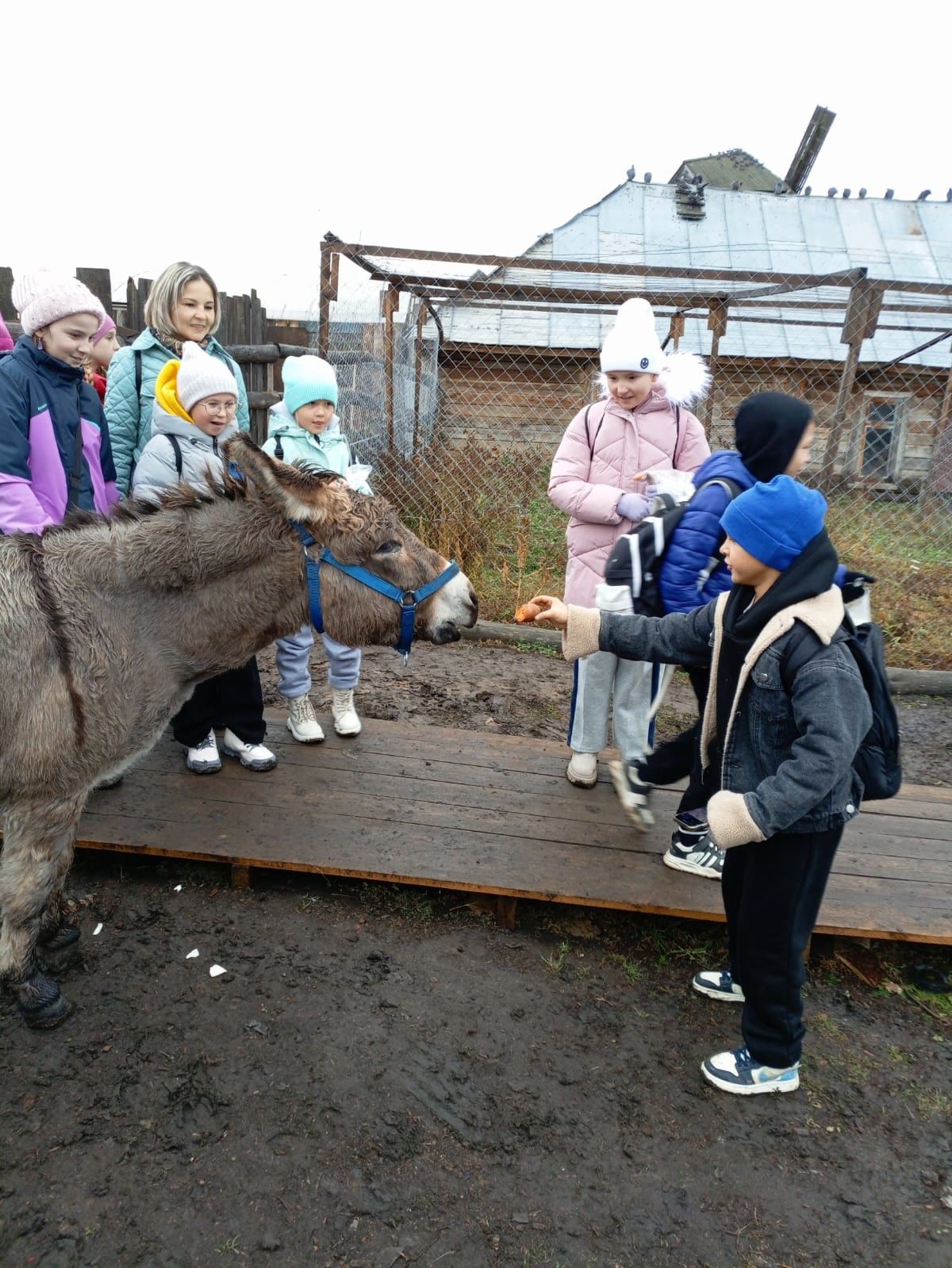 В татарской этнографической деревне «Татар Авылы» проходят бесплатные мастер-классы по столярному мастерству