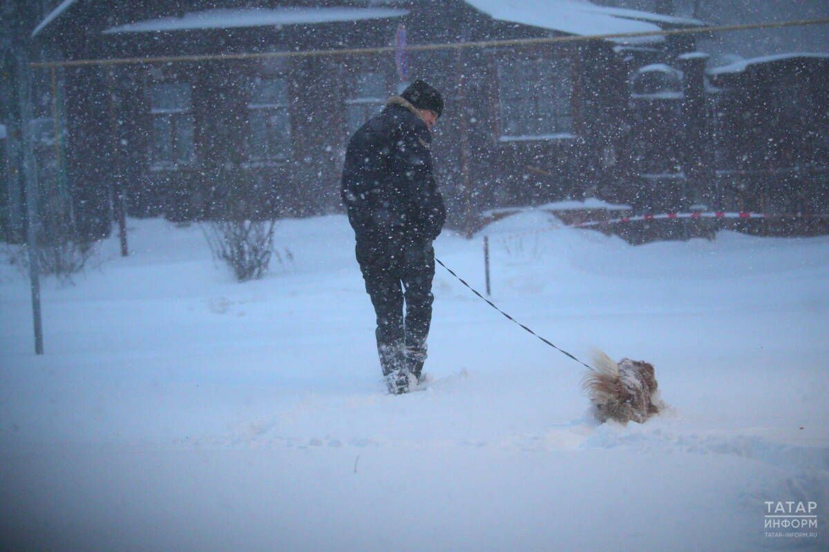 Кинолог Яна Орлова рассказала, какие правила надо соблюдать во время прогулки с питомцем в мороз