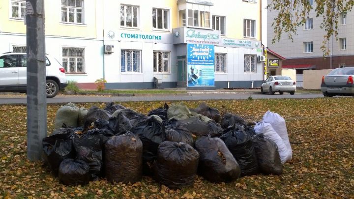 Фото: Жители Зеленодольска очистили территорию и высадили саженцы лип