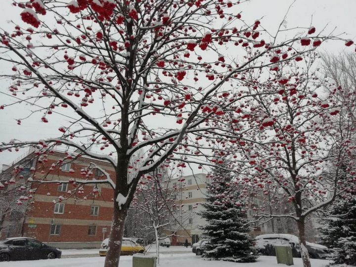 Зеленодольск. Городской пейзаж. Снег