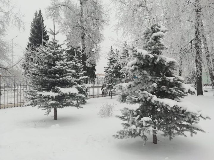 В Зеленодольске деревья по-есенински «принакрылись снегом, словно серебром..»