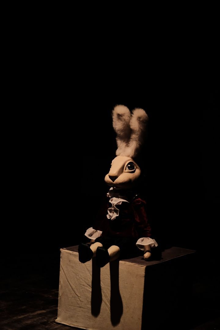 Фоторепортаж: В театре-студии «Хамелеон» состоялась премьера спектакля для детей и взрослых «Удивительные приключения кролика Эдварда»