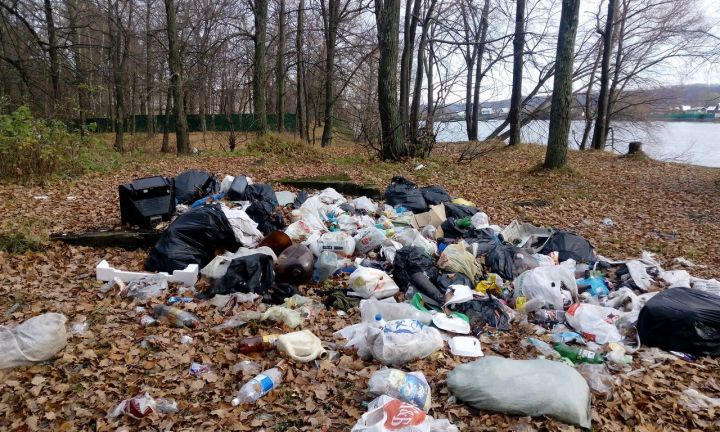 Дети и взрослые с Загородной борются за очистку прибрежной зоны города от мусора