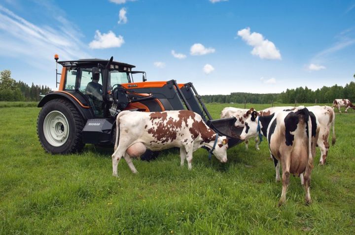 В Татарстане объявлен конкурс по программе «Развитие семейных животноводческих ферм на базе крестьянских (фермерских) хозяйств»