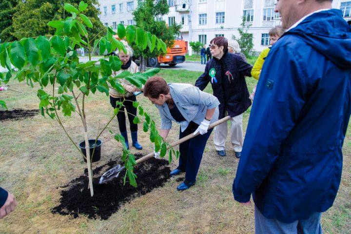 Какие деревья стоит сажать в Зеленодольске , а какие - не стоит, считает главный агроном города Наталья Ячанова