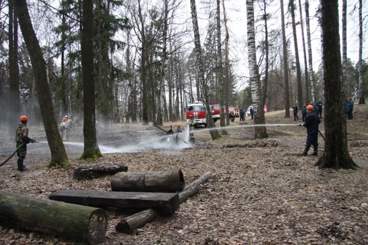 Фото: В Зеленодольском лесничестве провели пожарно-тактические учения