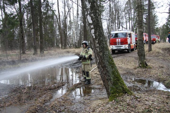 Фото: В Зеленодольском лесничестве провели пожарно-тактические учения