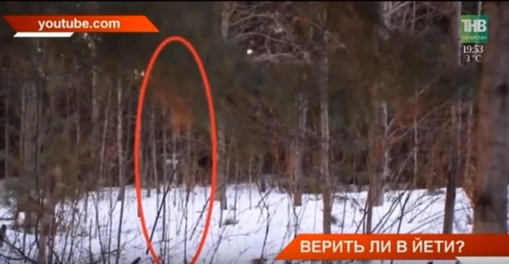 Татарстанские телевизионщики сделали сюжет по следам публикации "Зеленодольской правды" о снежном человеке