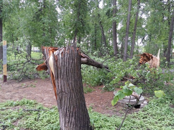 Фото: Последствия разгула стихии в Зеленодольске