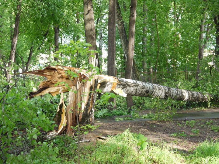 Фото: Последствия разгула стихии в Зеленодольске