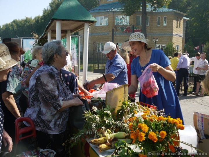 Фоторепортаж: День города оставил жителям и гостям Зеленодольска неизгладимое впечатление