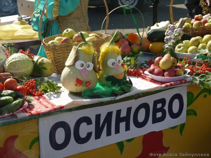 Фоторепортаж: День города оставил жителям и гостям Зеленодольска неизгладимое впечатление