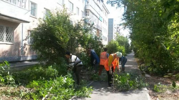 Сколько мешков мусора зеленодольцы собрали на общегородском среднике?