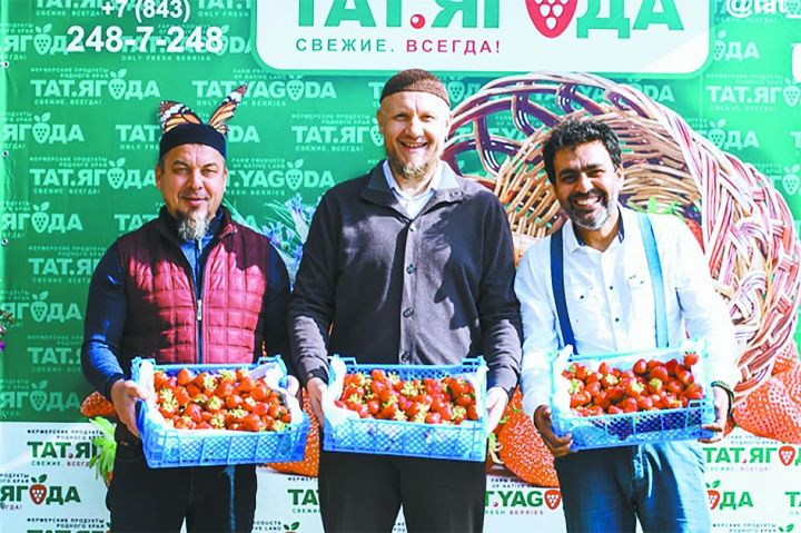 Сладкая клубника Больших Яков: Как стать лучшей ягодной фермой в Татарстане и России?